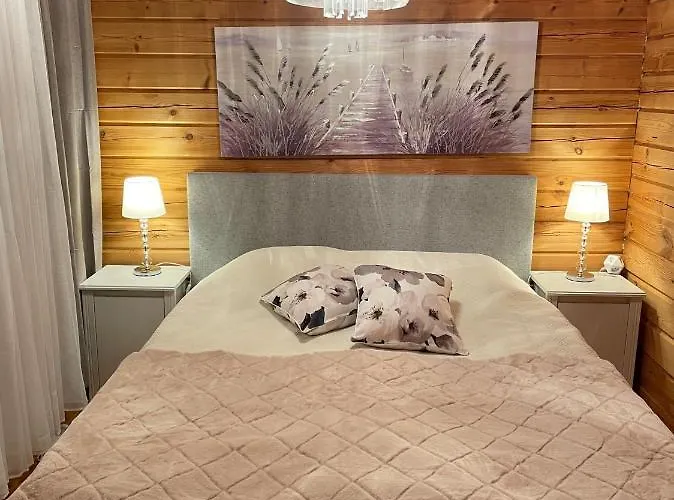 Cityvilla On The Shore Of Haapajaervi * Joensuu