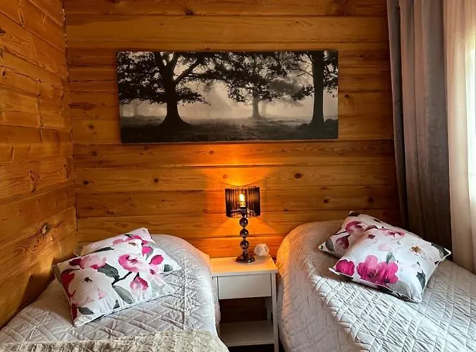 Cityvilla On The Shore Of Haapajaervi * Joensuu